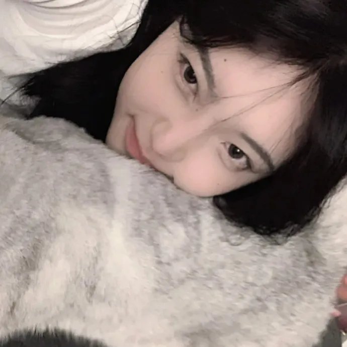蝴蝶夫人的现代家庭