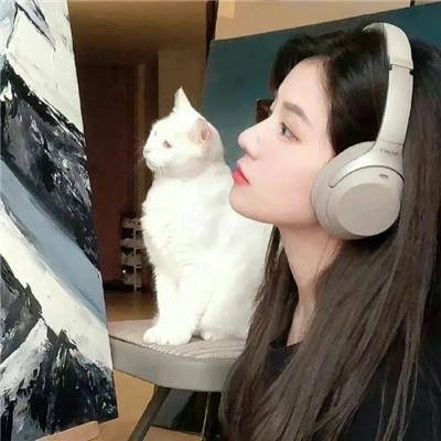 吉娃娃