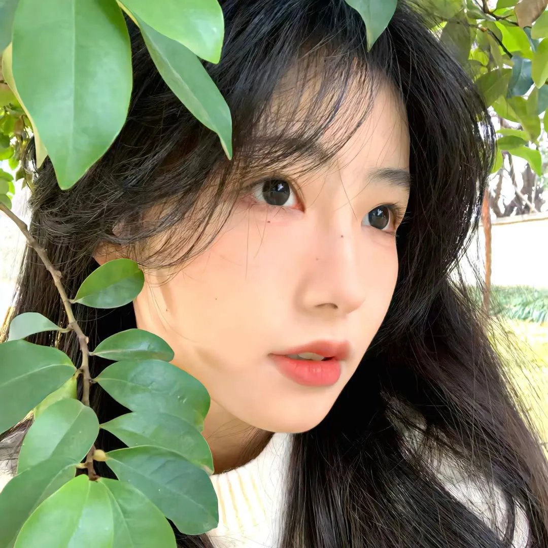 来自玛茹西亚的信